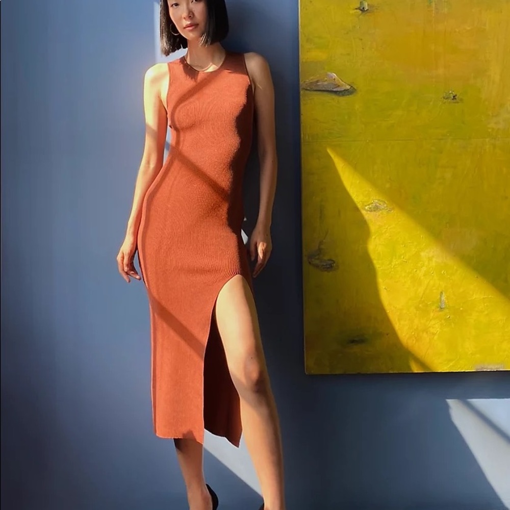 Babaton
PORTSIDE DRESS - XS in the color Rustwood